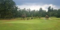 Forest Hills Golf Club 